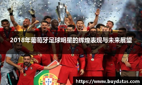 2018年葡萄牙足球明星的辉煌表现与未来展望