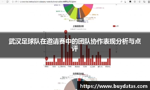 武汉足球队在邀请赛中的团队协作表现分析与点评